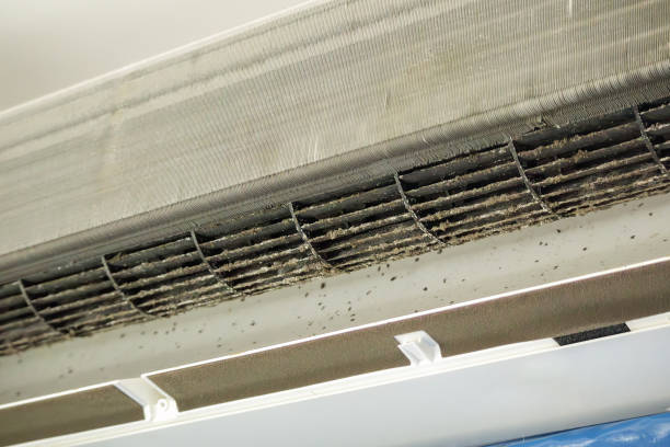 Best Professional Duct Cleaning Services  in Romoland, CA